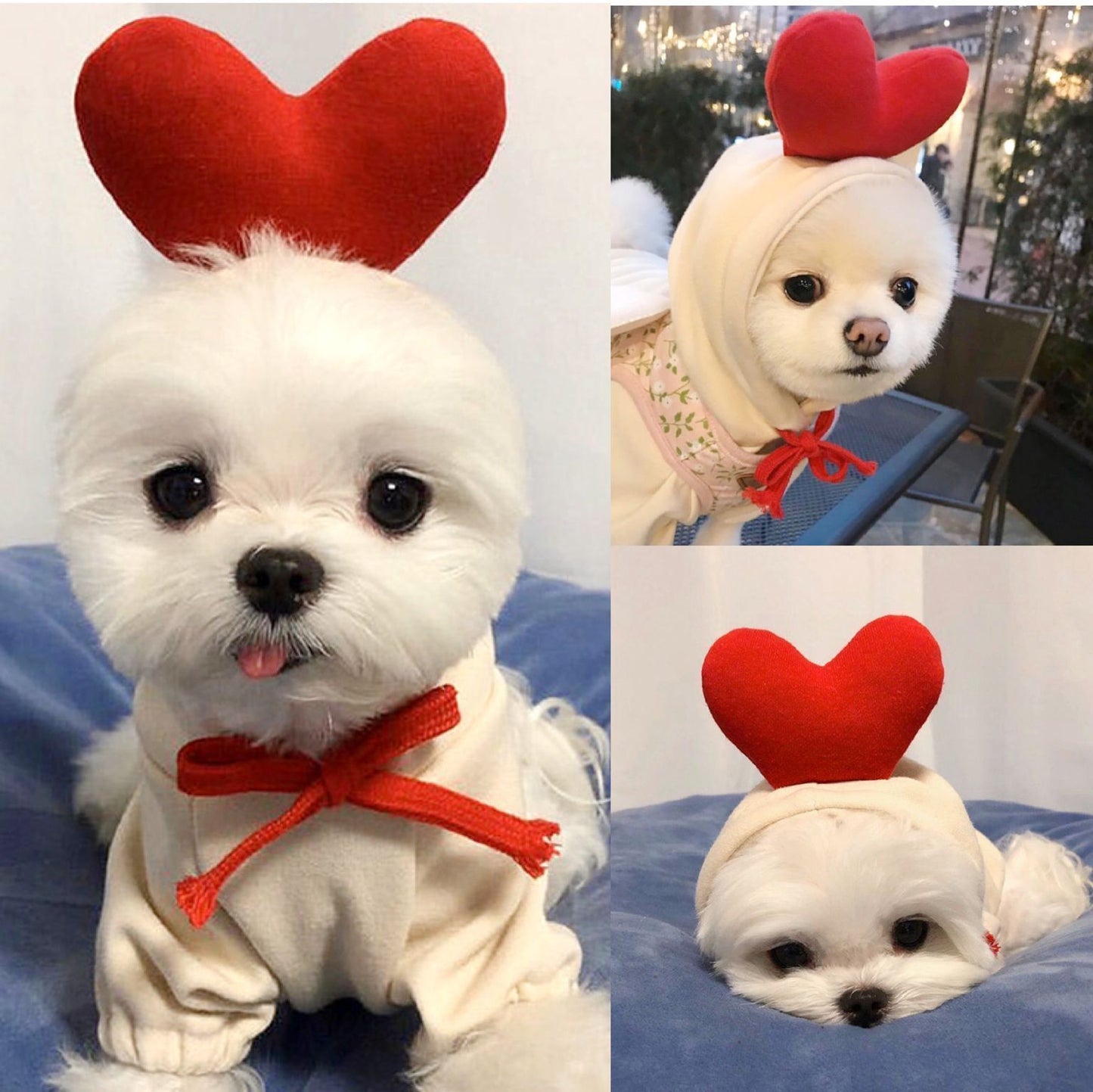 Dog Winter Clothing | Autumn And Winter Pet Clothing | KayEssence