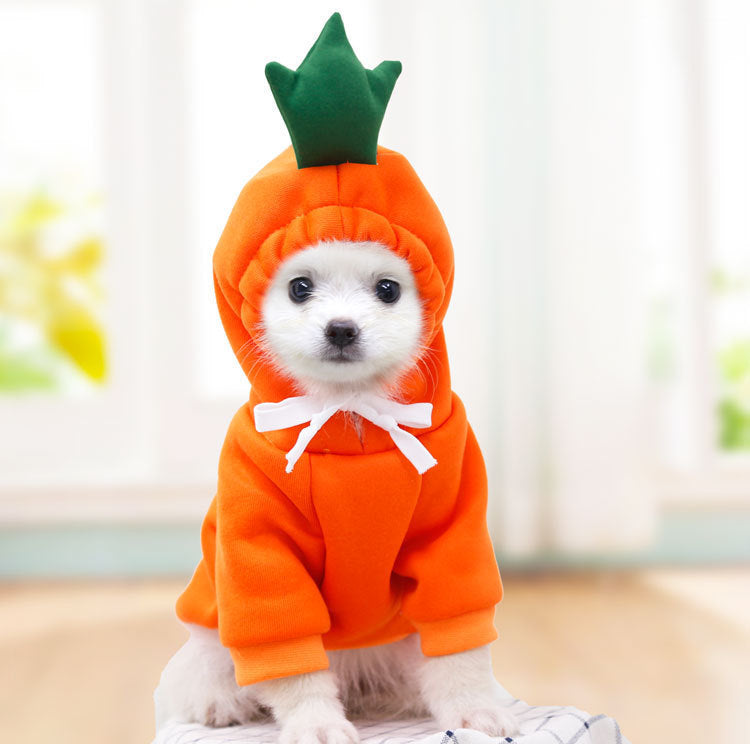 Dog Winter ClothingDog Winter Clothing | Autumn And Winter Pet Clothing | KayEssence