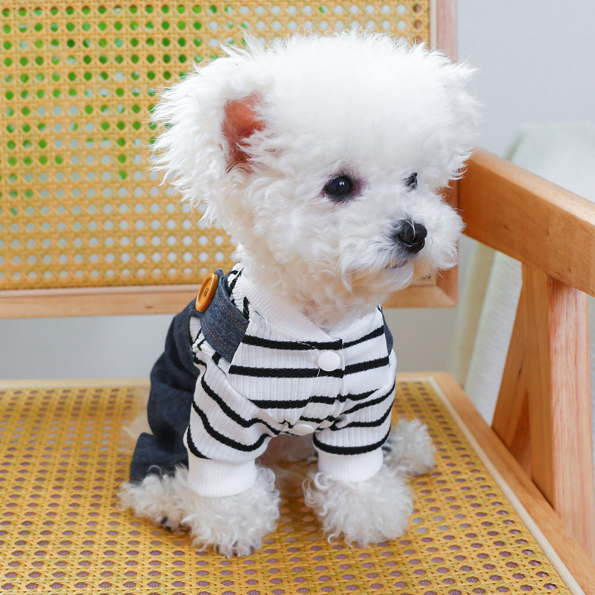 Pet Suspender Pants | Clothing Suspender Pants | KayEssence