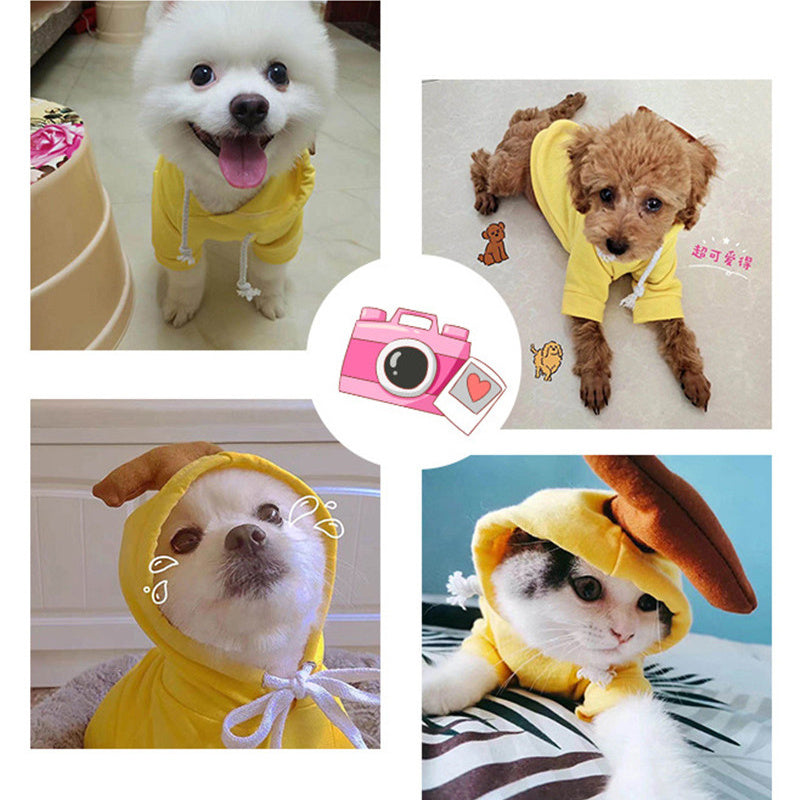 Dog Winter ClothingDog Winter Clothing | Autumn And Winter Pet Clothing | KayEssence
