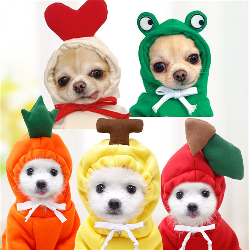 Dog Winter ClothingDog Winter Clothing | Autumn And Winter Pet Clothing | KayEssence