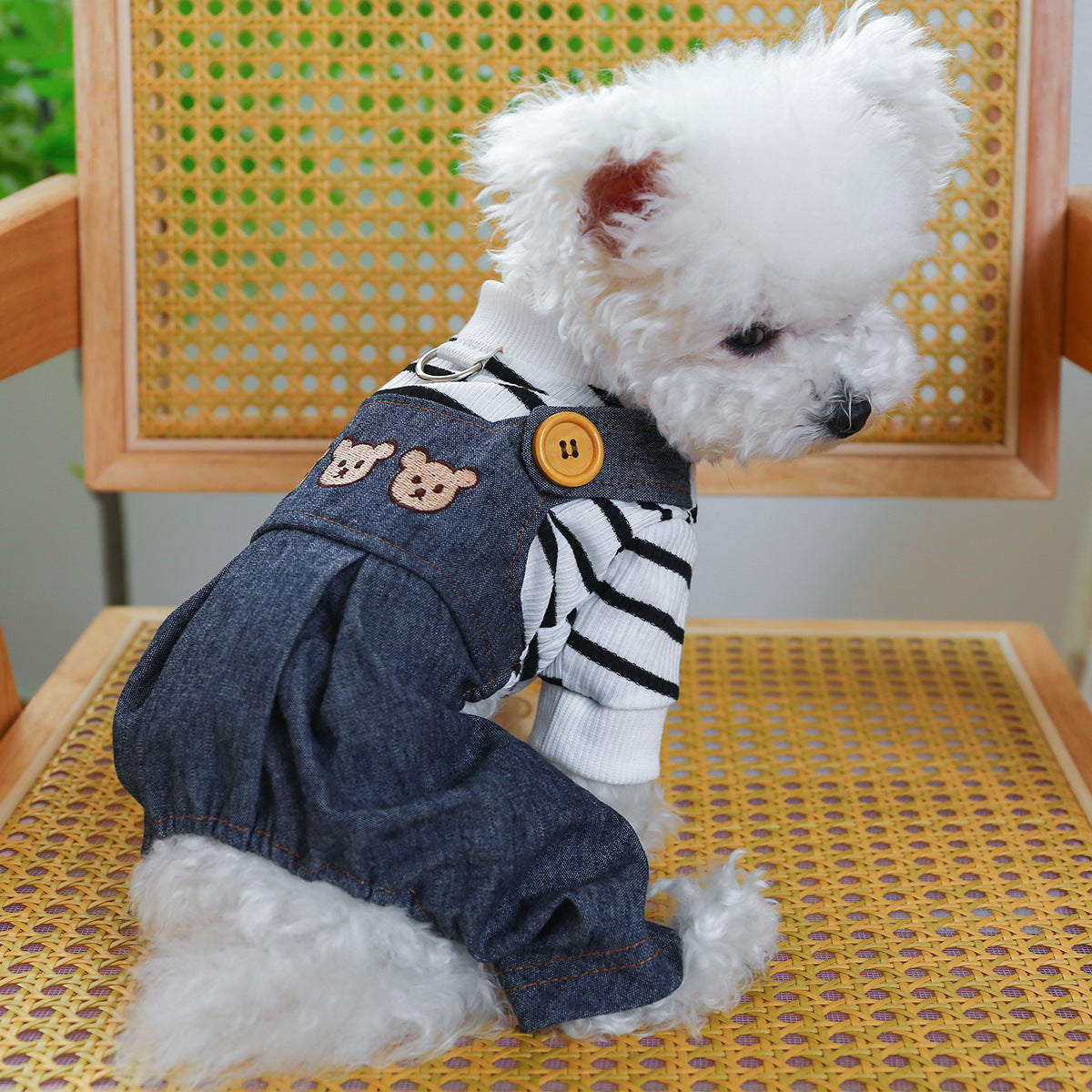 Pet Suspender Pants | Clothing Suspender Pants | KayEssence